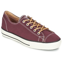 spartoo - converse all stars